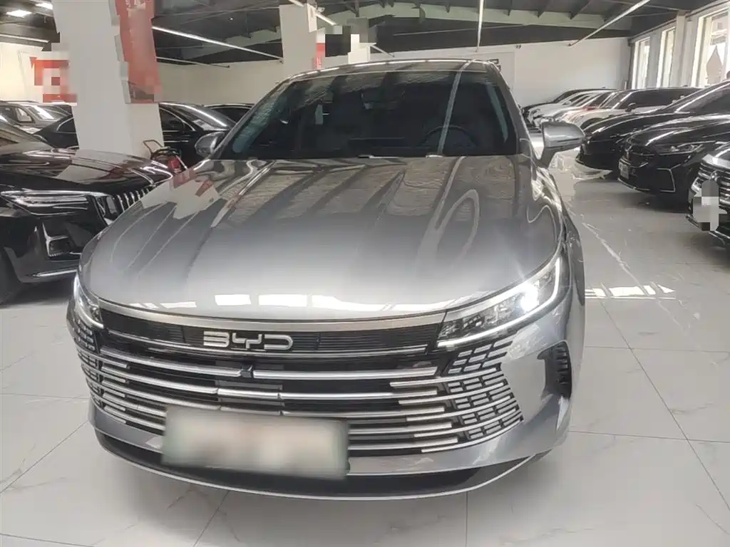 BYD Destroyer 05 2023 Model Champion Edition DM-i 120KM Luxury фото 3