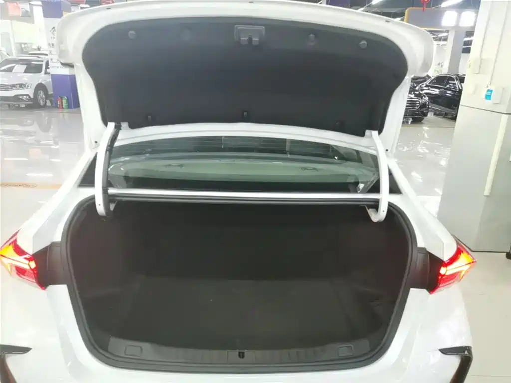 Buick Verano 2023 Pro GS Gale Edition фото 19