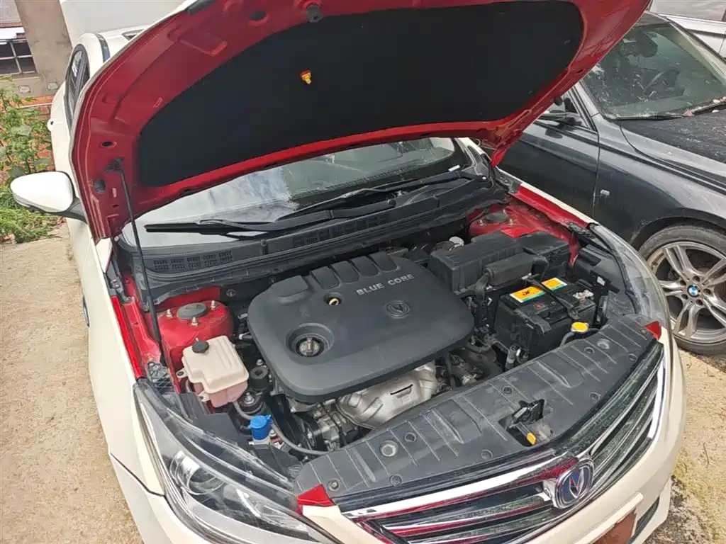 Photo 20 - Changan Eado