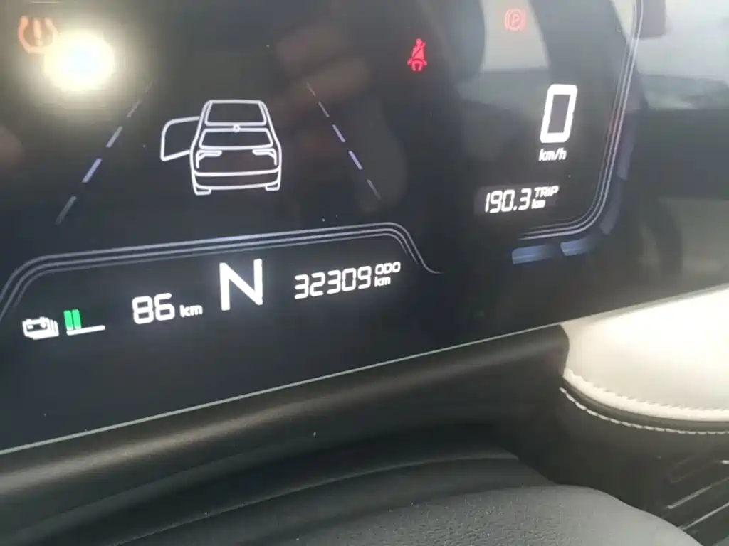 Geely Geometry E Firefly 2024 2024 Model 301km Light Flow