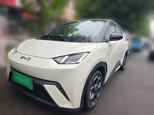 BYD Seagull 305km, Свобода