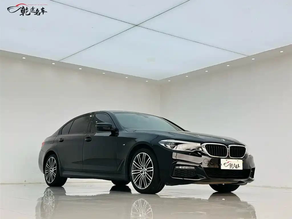 BMW 5 Series 2019 530Li Premium M Sport Package фото 3