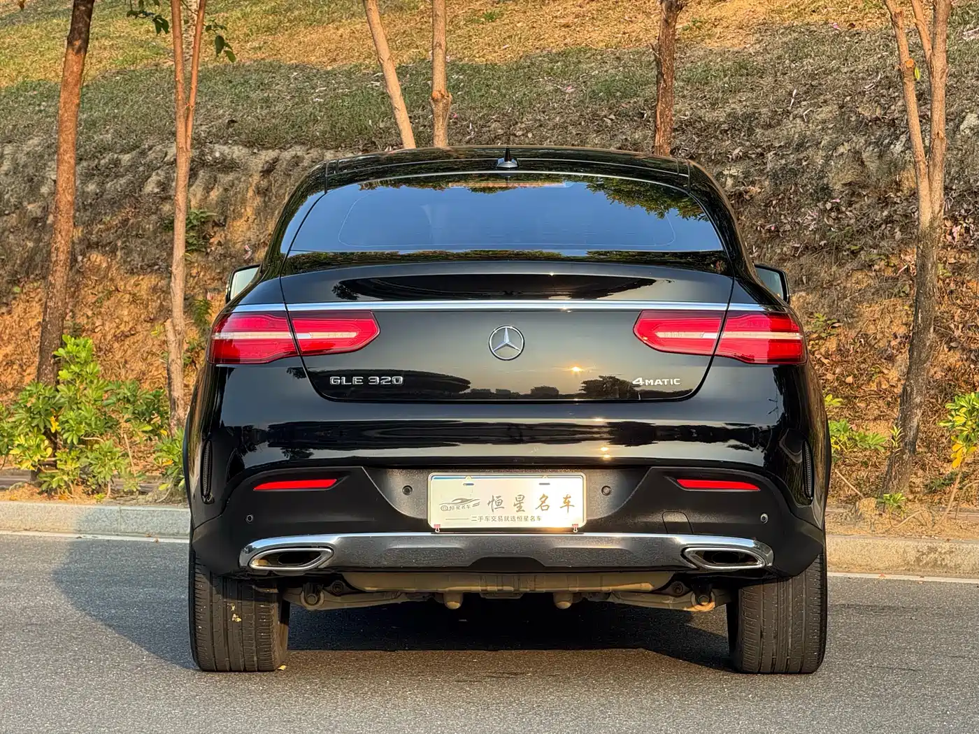 Mercedes-Benz GLE Coupe 2018 GLE 320 4MATIC Coupe SUV фото 8