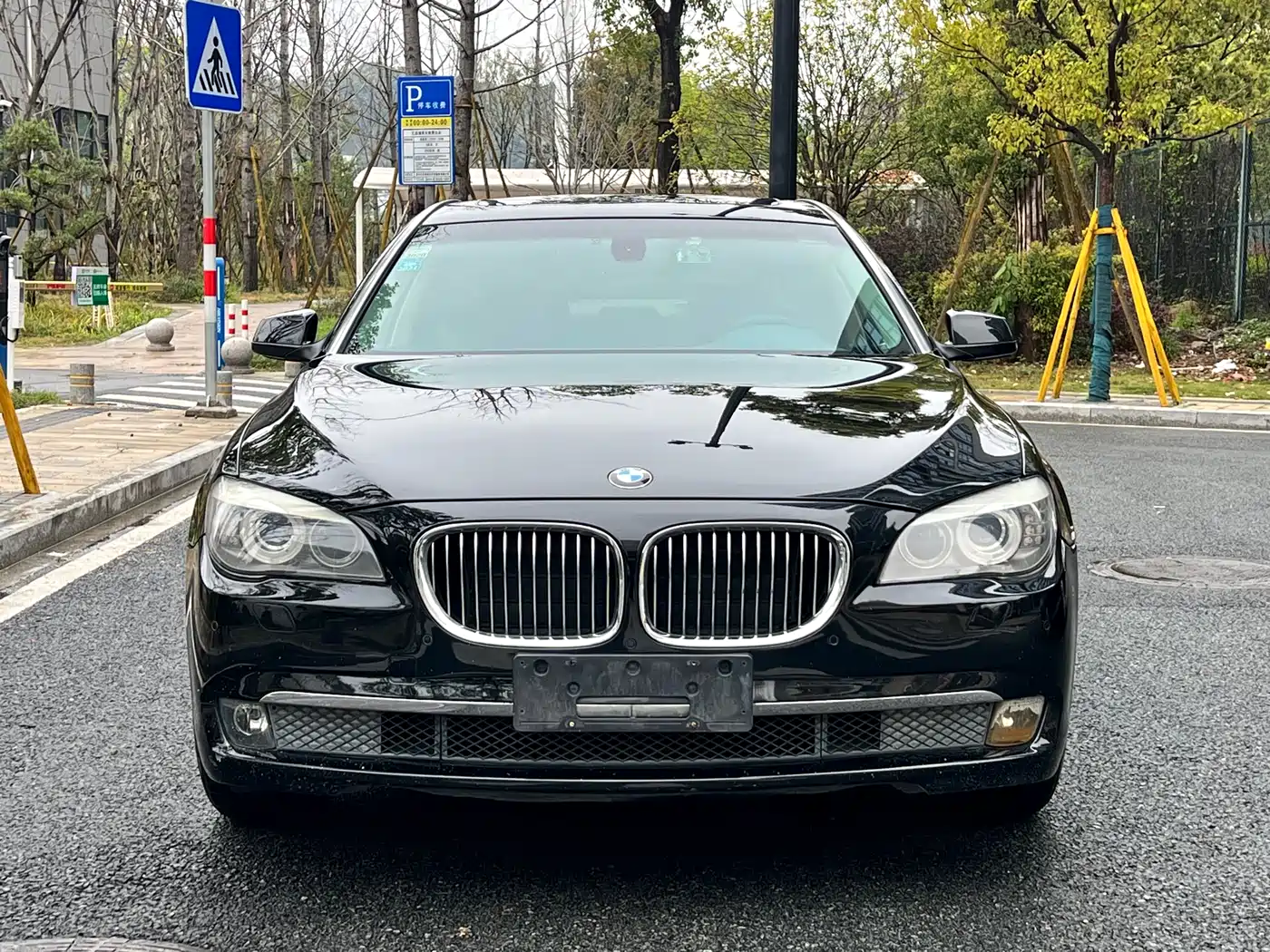 BMW 7 Series 2011 730Li Elegance фото 2