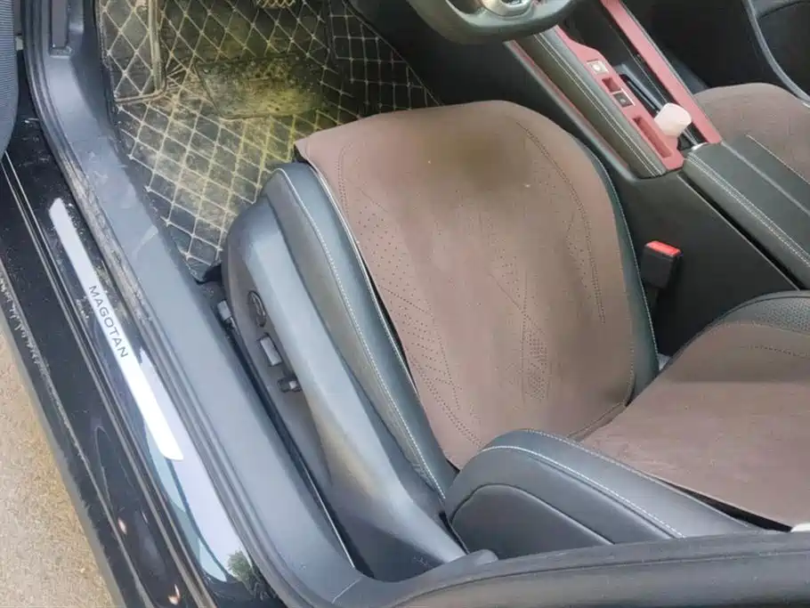 Volkswagen Magotan 2024 380TSI DSG Luxury Edition (Daimai Package) фото 9