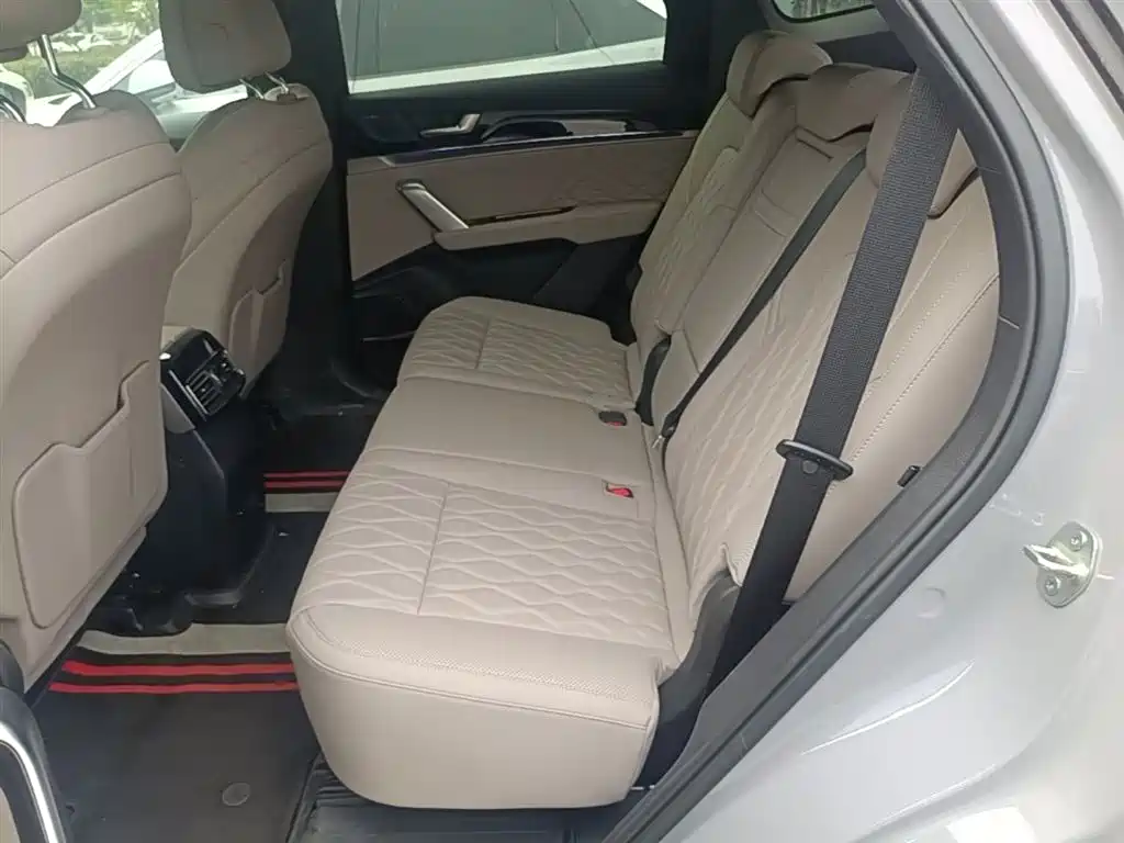 BYD Tang New Energy 2025 Smart Driving Edition DM-i 115KM Flagship фото 17