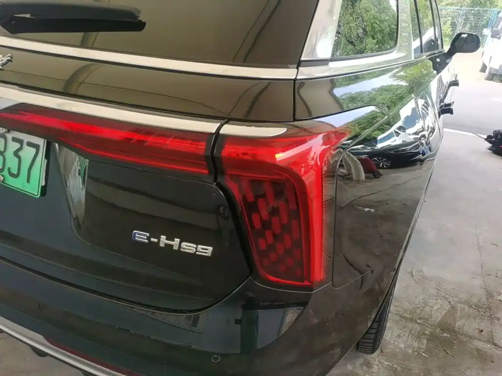 Hongqi E-HS9 2023 2021 460km Flagship Comfort 6-seater