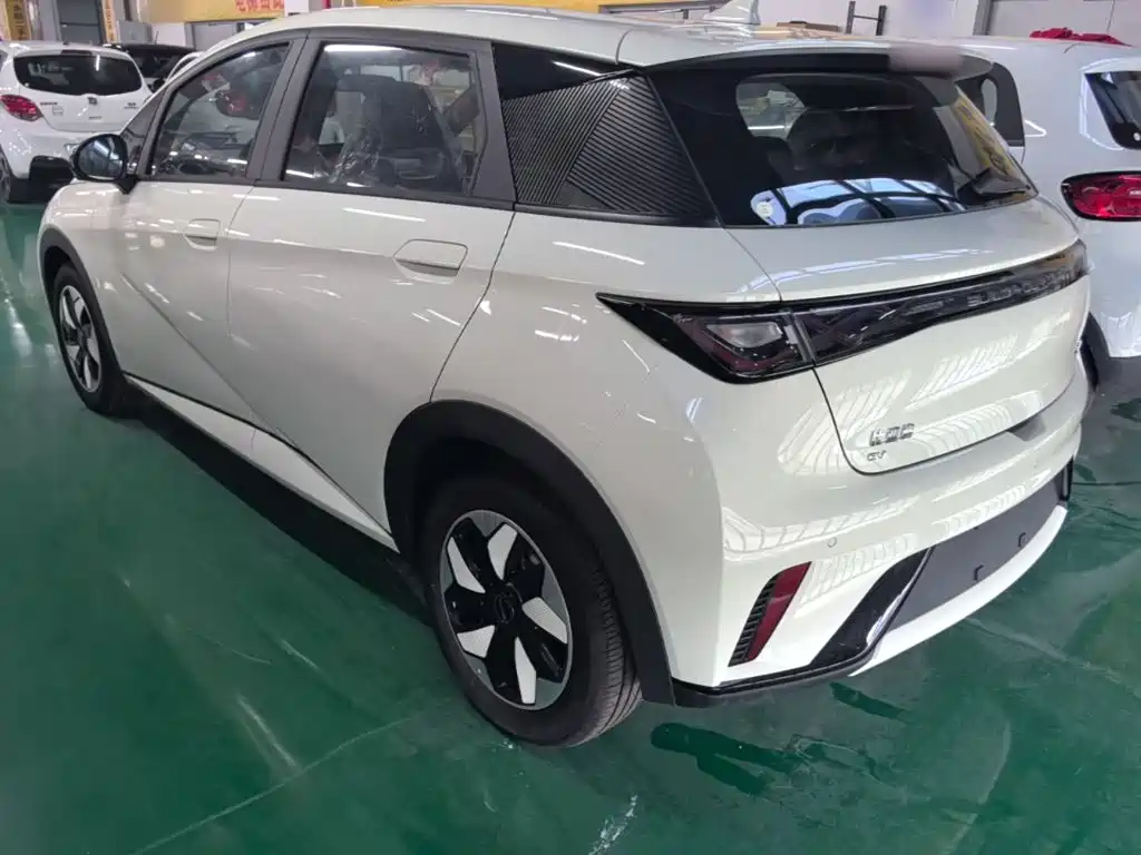 BYD Dolphin 2026 2025 420km Freedom Edition