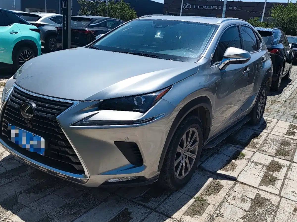 Lexus NX 2020 200 AWD F Sport China V