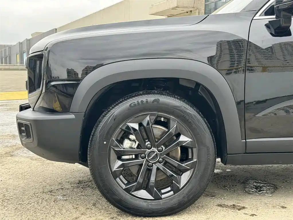 HAVAL BIG DOG