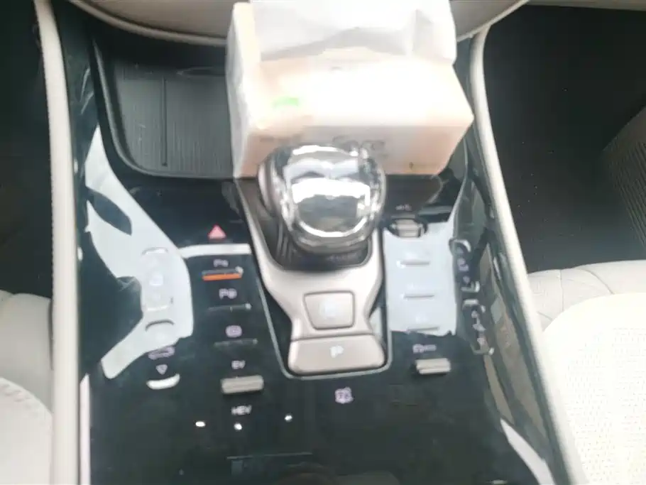 Denza D9 2022 DM-i 970 AWD Flagship фото 16