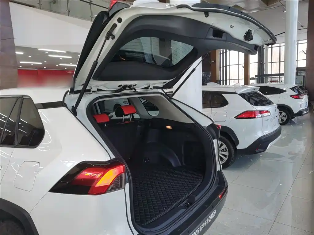 Toyota RAV4 Rongfang 2020 2.0L CVT 2WD Trend Edition фото 9