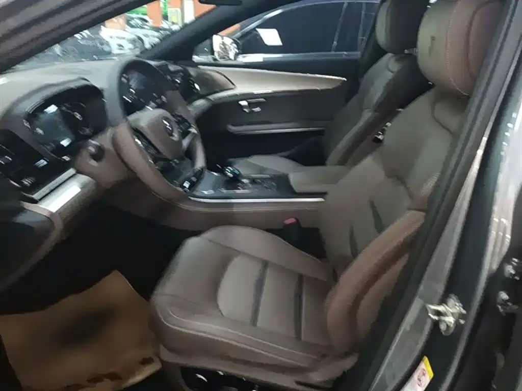 BYD Han 2020 DM AWD Performance Luxury Edition фото 15