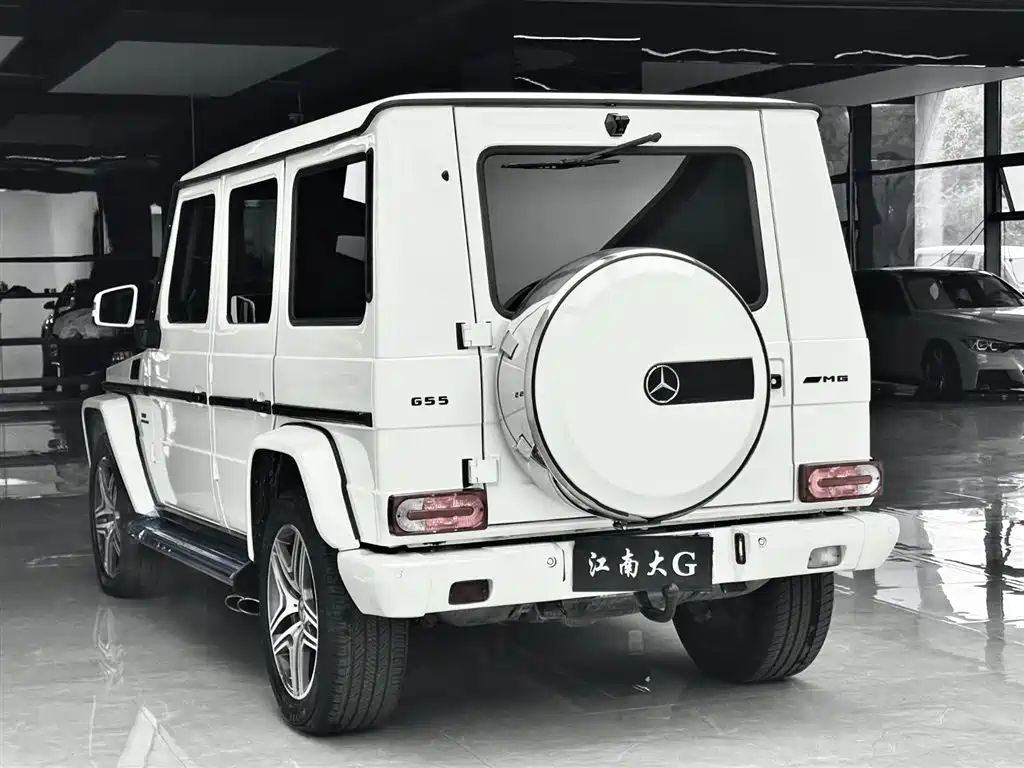 Mercedes-Benz G-Class AMG 2009 AMG G 55 фото 19