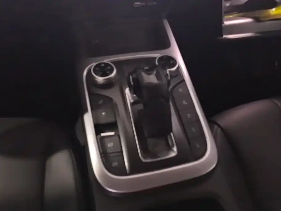 Tank 300 2021 2021 Off-road Edition 2.0T Challenger