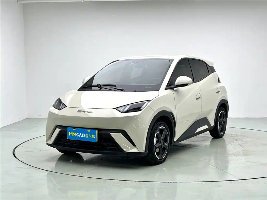 BYD Seagull 2024 Glory Edition 305km Freedom Edition