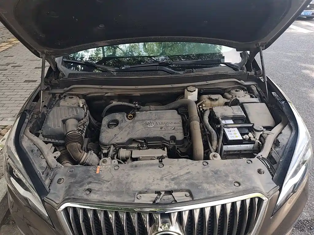 Buick Envision Plus 2016 20T 2WD Elite фото 11