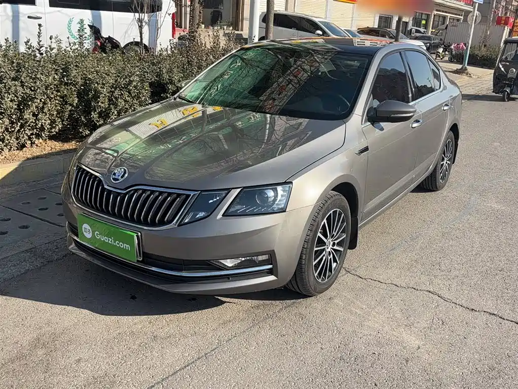 Škoda Octavia 2019 TSI230 DSG Luxury Edition фото 2