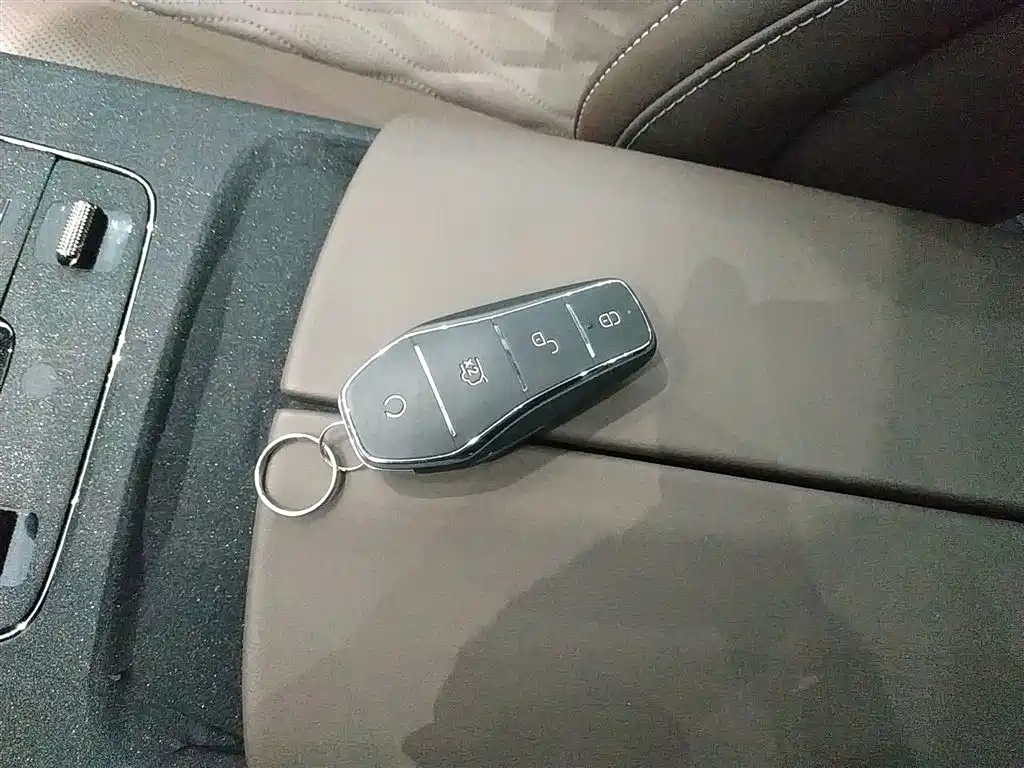 BYD Han 2023 DM-i Champion Edition 121KM Premium фото 9