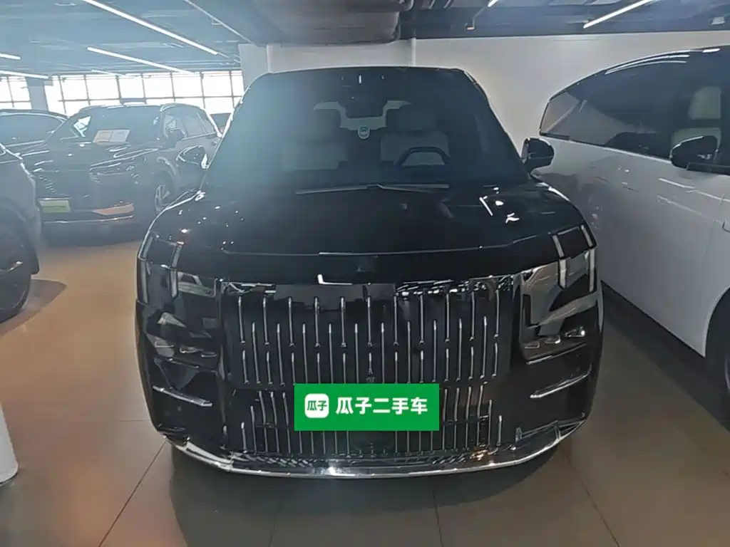 2025 ZEEKR 009