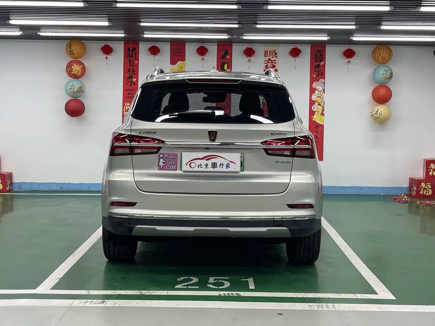 Фото 6 - Roewe RX5 New Energy