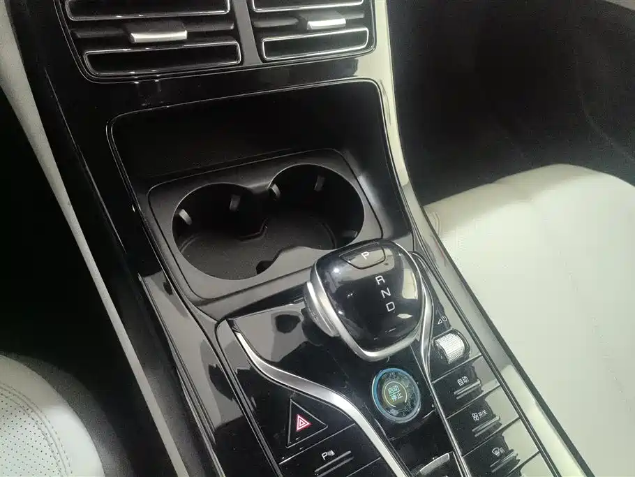 BYD Qin PLUS 2024 Glory Edition DM-i 55KM Leading фото 16