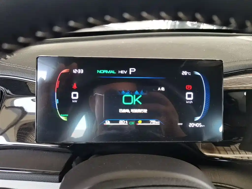BYD Qin PLUS 2024 Glory Edition DM-i 55KM Leading фото 12
