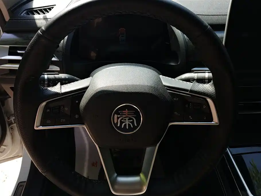 BYD Qin Pro New Energy 2019 EV Super Edition High Power Long Range Smart Connected Pioneer Type фото 15