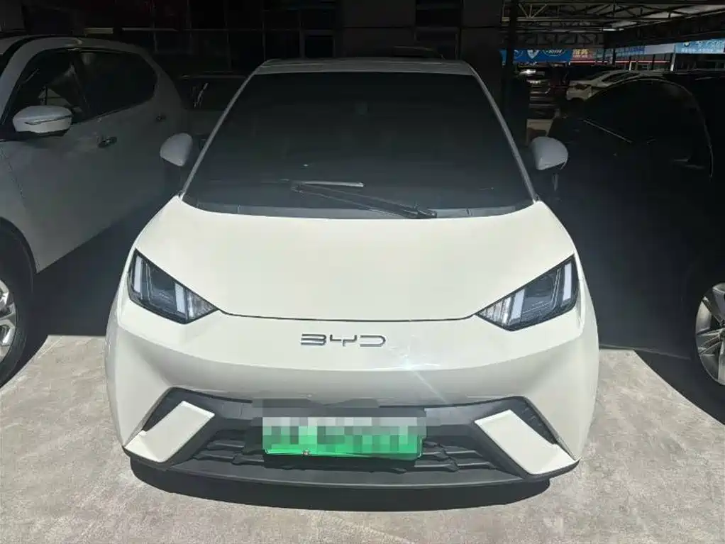 BYD Seagull 2023 Freedom Edition фото 2