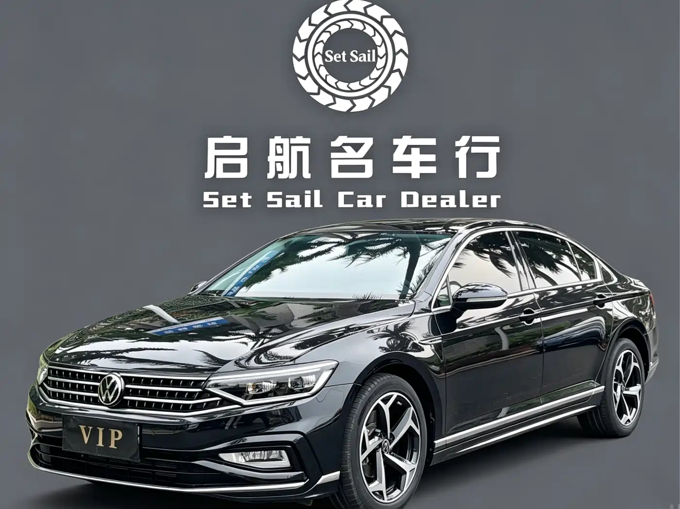 Volkswagen Magotan 2024 2 Million Units Public Sharing Edition 330TSI DSG Luxury