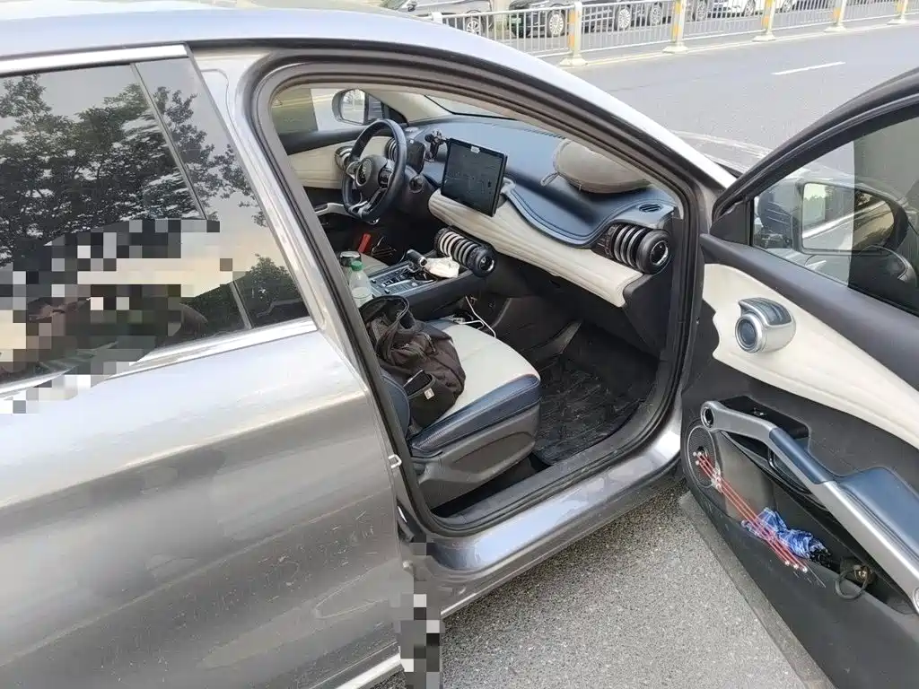 BYD Yuan PLUS 2022 2022 510KM Premium