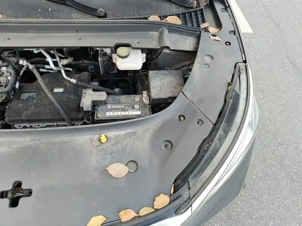 BYD Yuan PLUS 2022 2022 510KM Premium