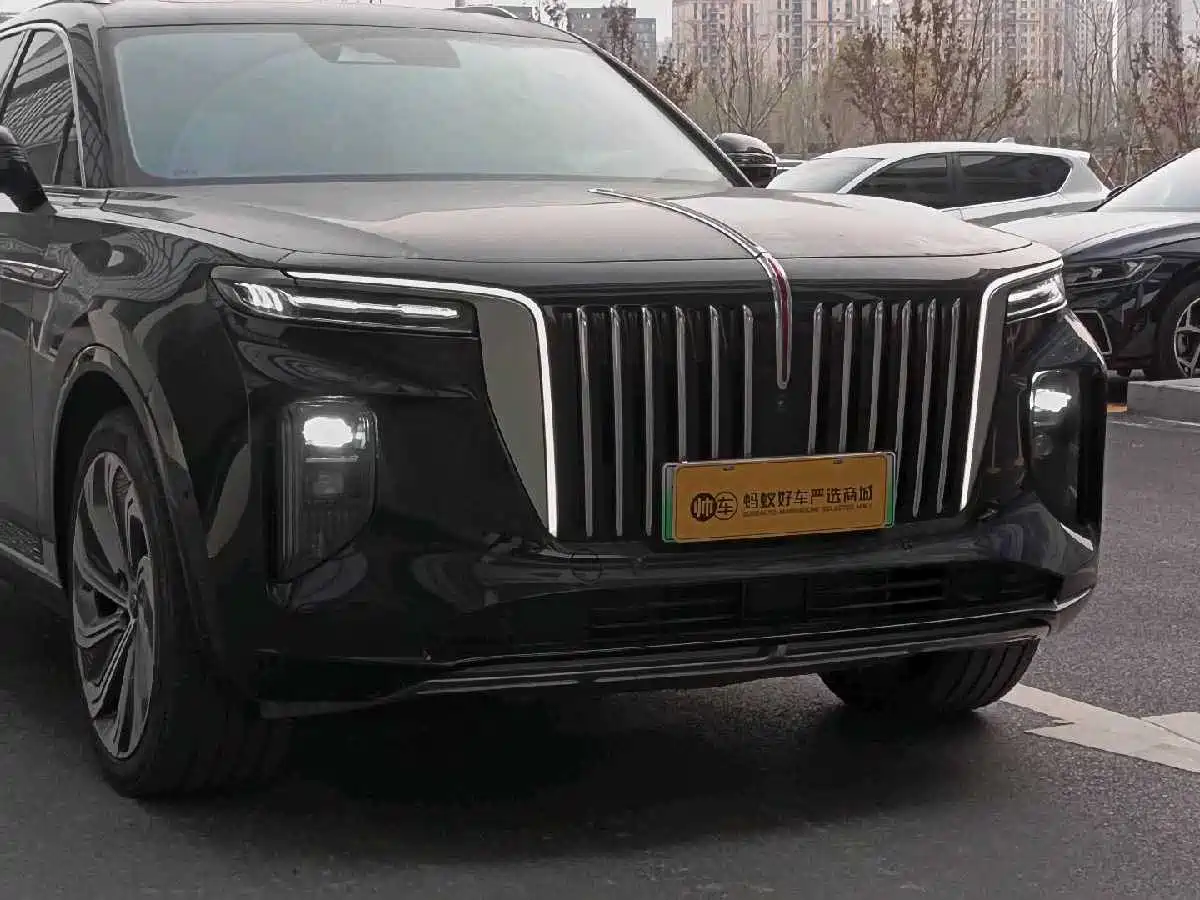 Hongqi E-HS9 2022 660km Qi Ling Edition (4-seater) фото 8
