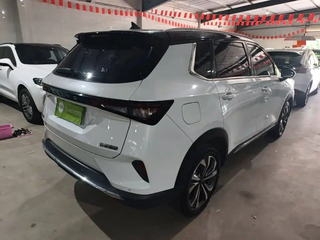 Wuling Motors Wuling Xingchen 2023 2021 1.5T CVT Starlight Edition