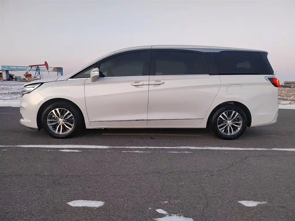 Buick GL8 2021 ES Landlord 653T Premium фото 6