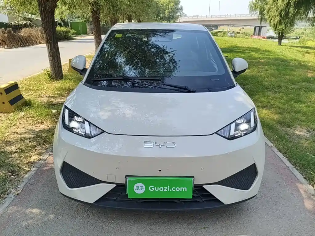 2026 BYD Seagull