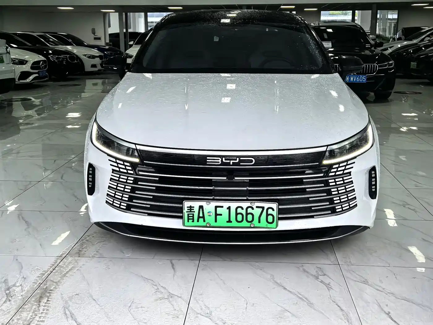 BYD DESTROYER 05