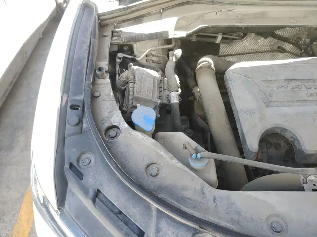 صورة 20 - Haval H2s