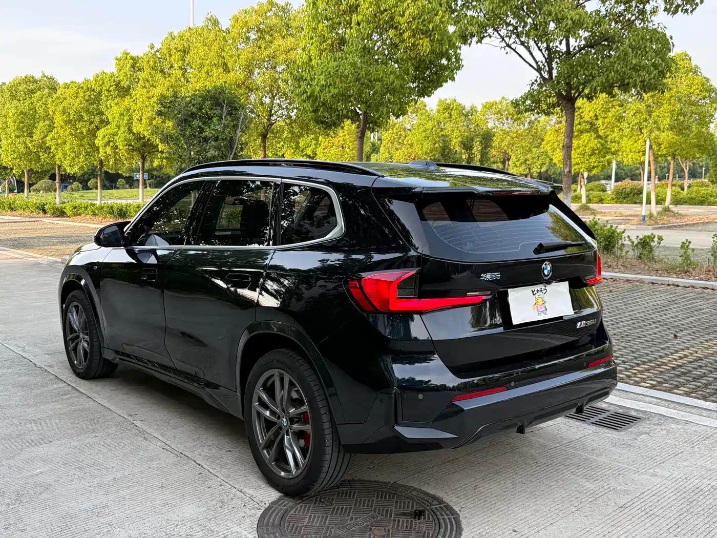 BMW X1 2024 sDrive25Li X Design Package фото 12
