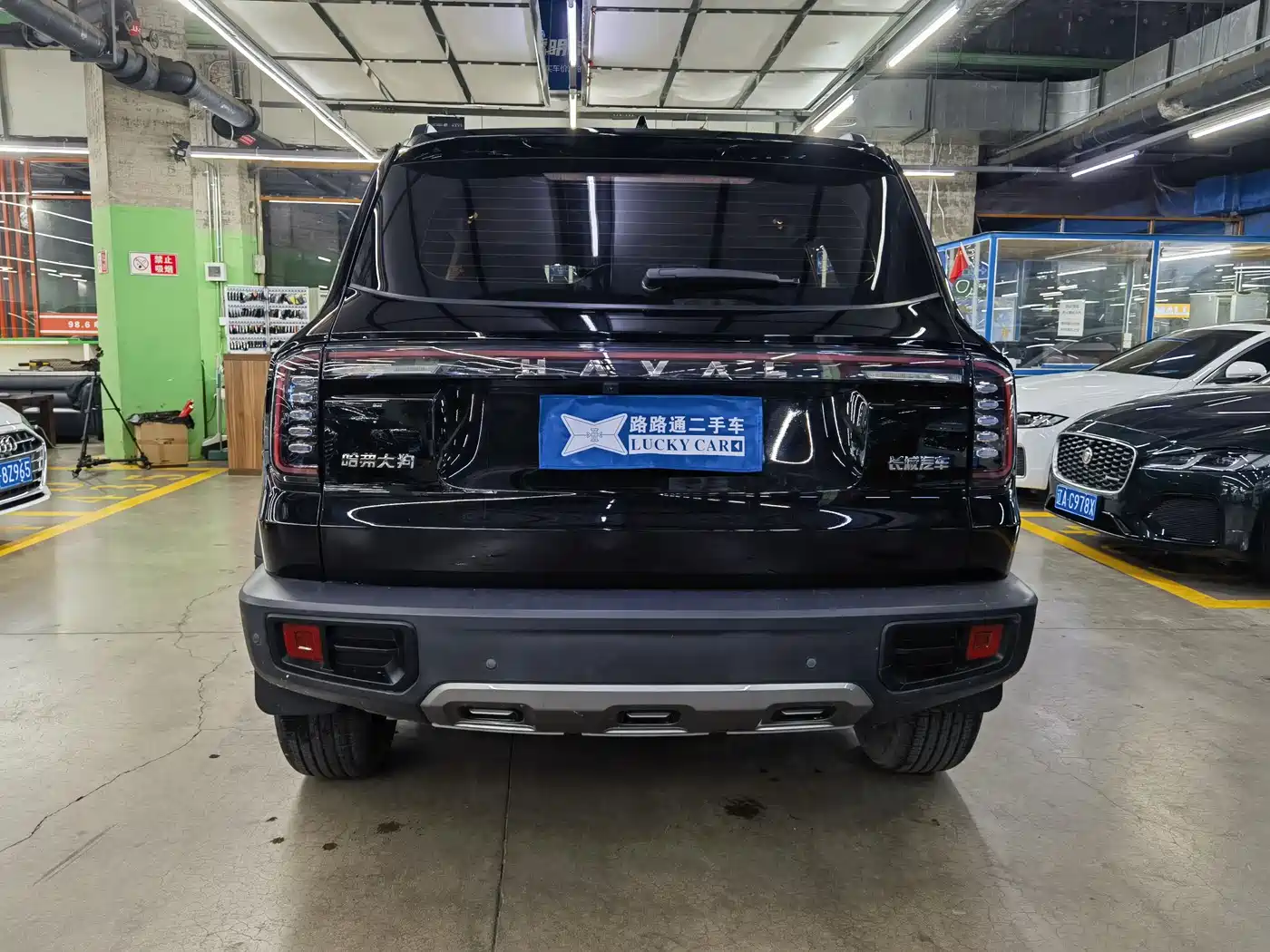 Haval Big Dog 2024 1.5T DCT Border Collie Edition фото 5