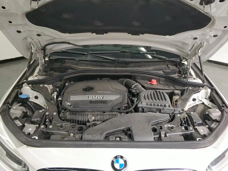 BMW 1 Series 2021 125i M Sport Black Night Edition фото 10