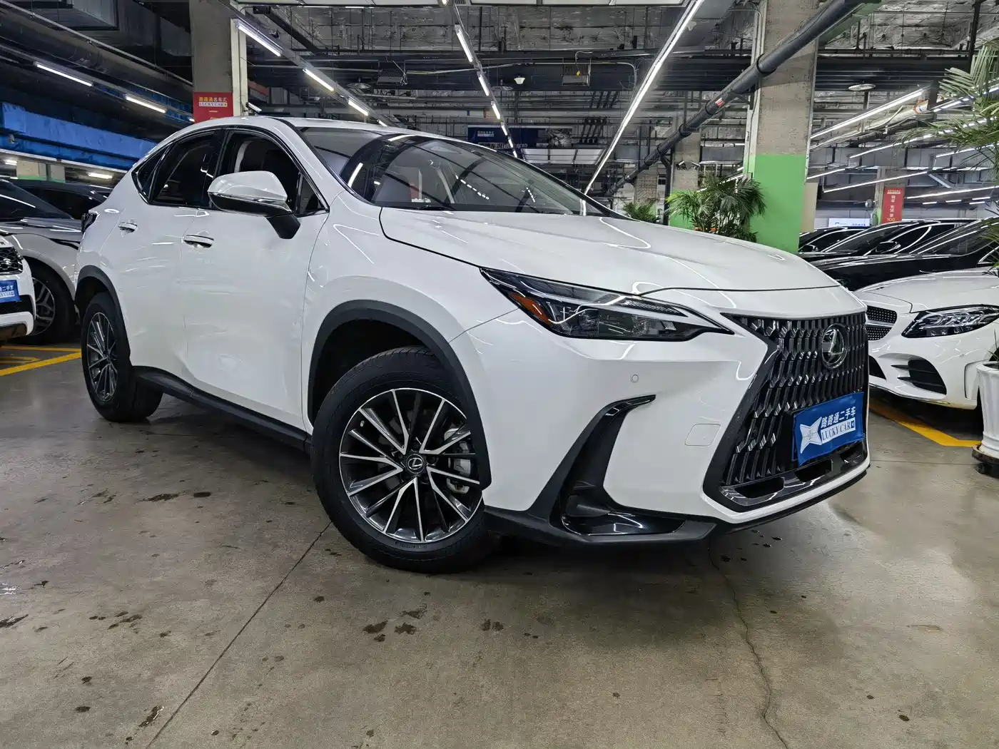 LEXUS NX