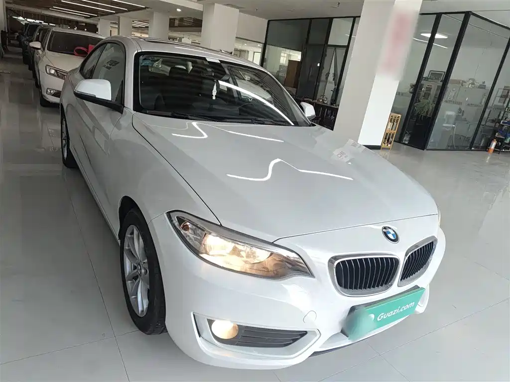 BMW 2 Series (Import) 2015 218i фото 4