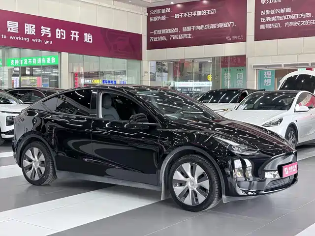 Tesla Model Y 2022 Facelift Rear-Wheel Drive Version — фото 2