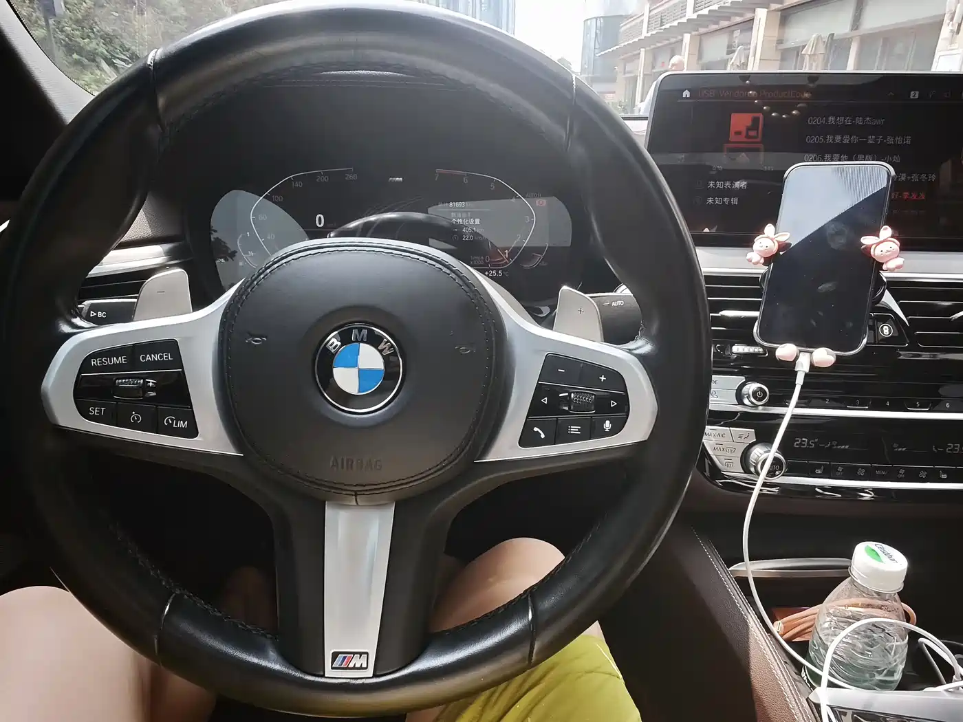 BMW 5 Series 2021 530Li Leading Luxury Package фото 21