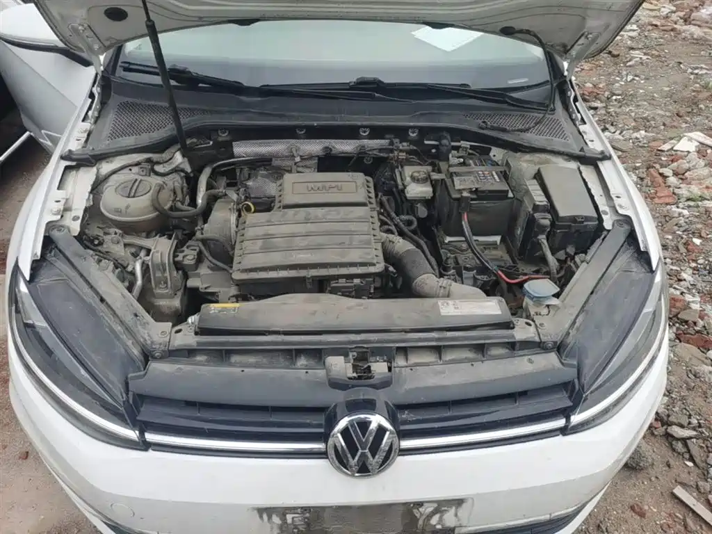 Volkswagen Golf 2018 1.6L Automatic Comfort фото 11
