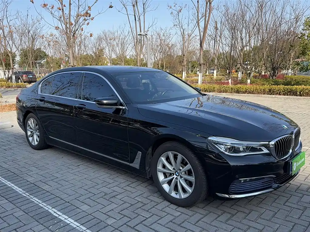 BMW 7 Series 2016 730Li Leading фото 25