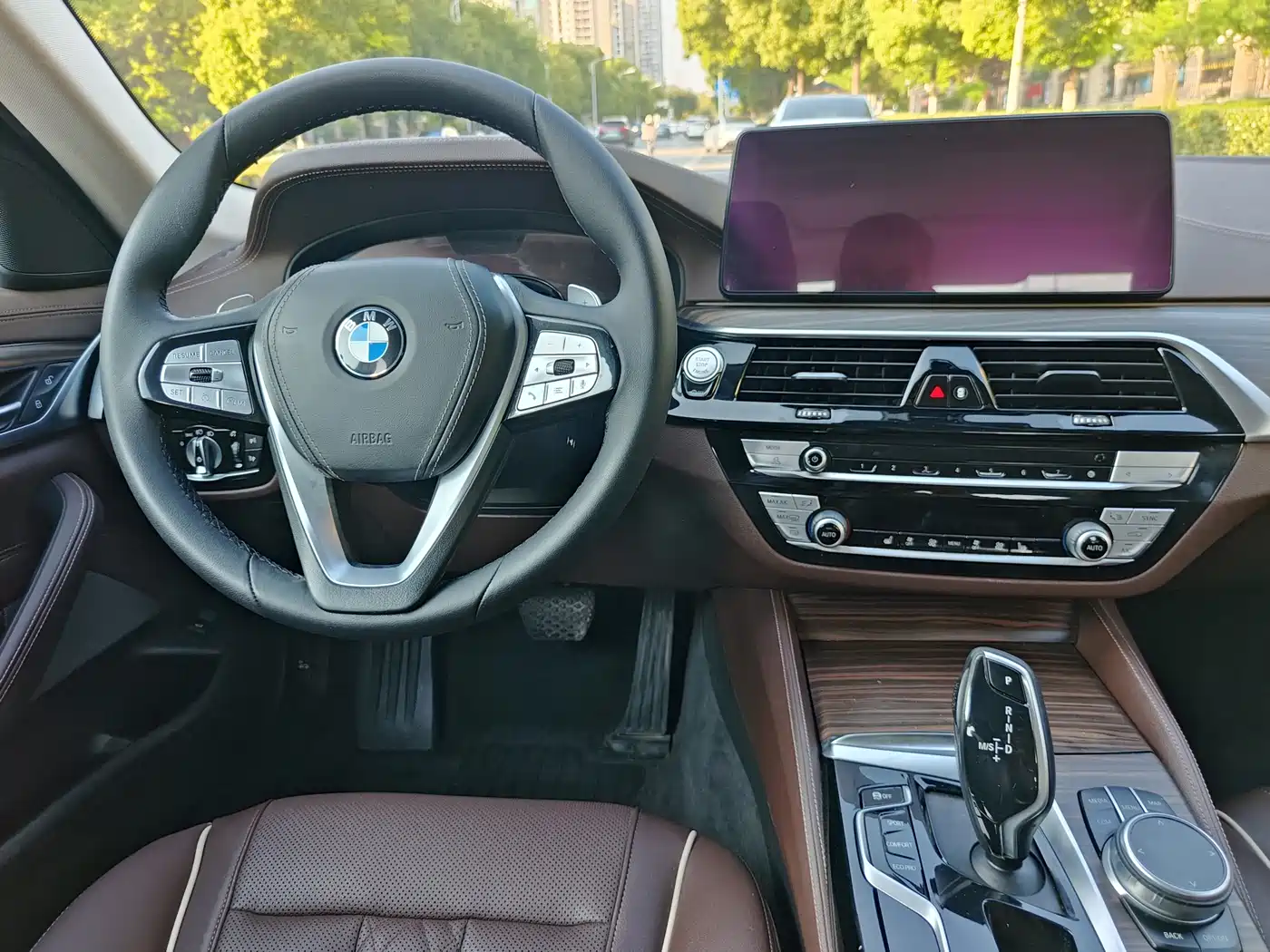 BMW 5 Series 2021 530Li Leading Luxury Package фото 15