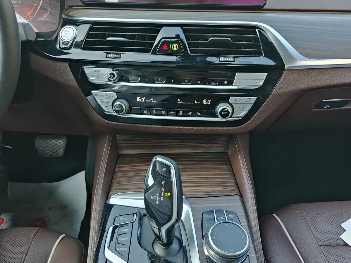 BMW 5 Series 2021 530Li Leading Luxury Package фото 16
