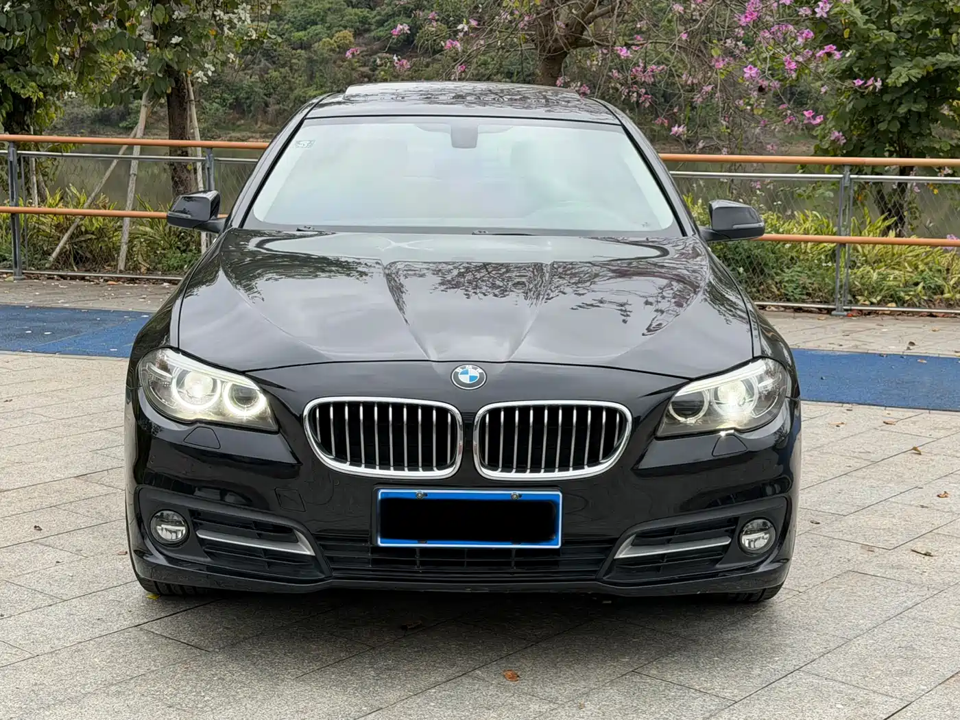 BMW 5 Series 2014 525Li Leading фото 2